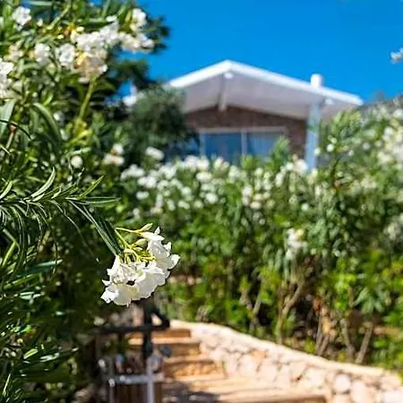 Riad Likya Pavilion Kaş